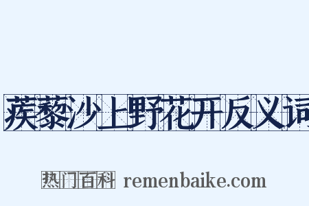 蒺藜沙上野花开反义词是什么意思的图片